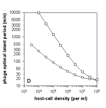 Figure 5-2d: Exponential phage adsorption and phage population growth. Panel D: Phage latent periods (optima) that give rise to maximal phage population growth as determined using simulations (adsorption via exponential free-phage decline; circles) or calculations (adsorption for all of free-phage cohort is mean free time in duration; squares) as described for panel C. Panel D is a variation on a figure originally published in Abedon et al. (2001) and is used with permission as granted by the American Society for Microbiology. See Abedon et al. (2001) for discussion of methods for all panels.